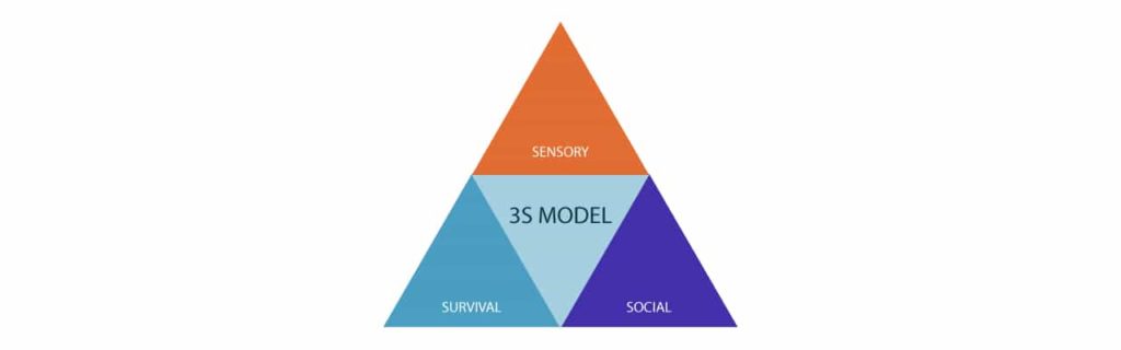 The 3s Model Reach High Consulting And Therapy