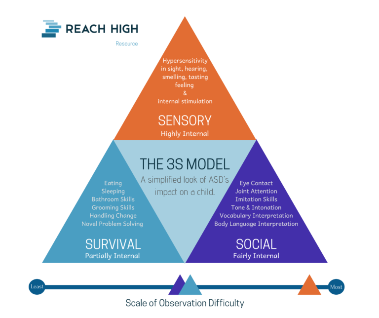 The 3s Model Reach High Consulting And Therapy